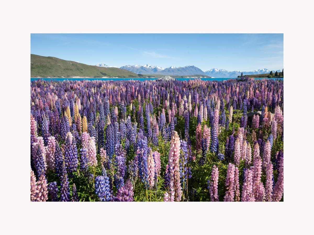 Alpine Suites On Tekapo Luxury B&B Лейк-Текапо Экстерьер фото