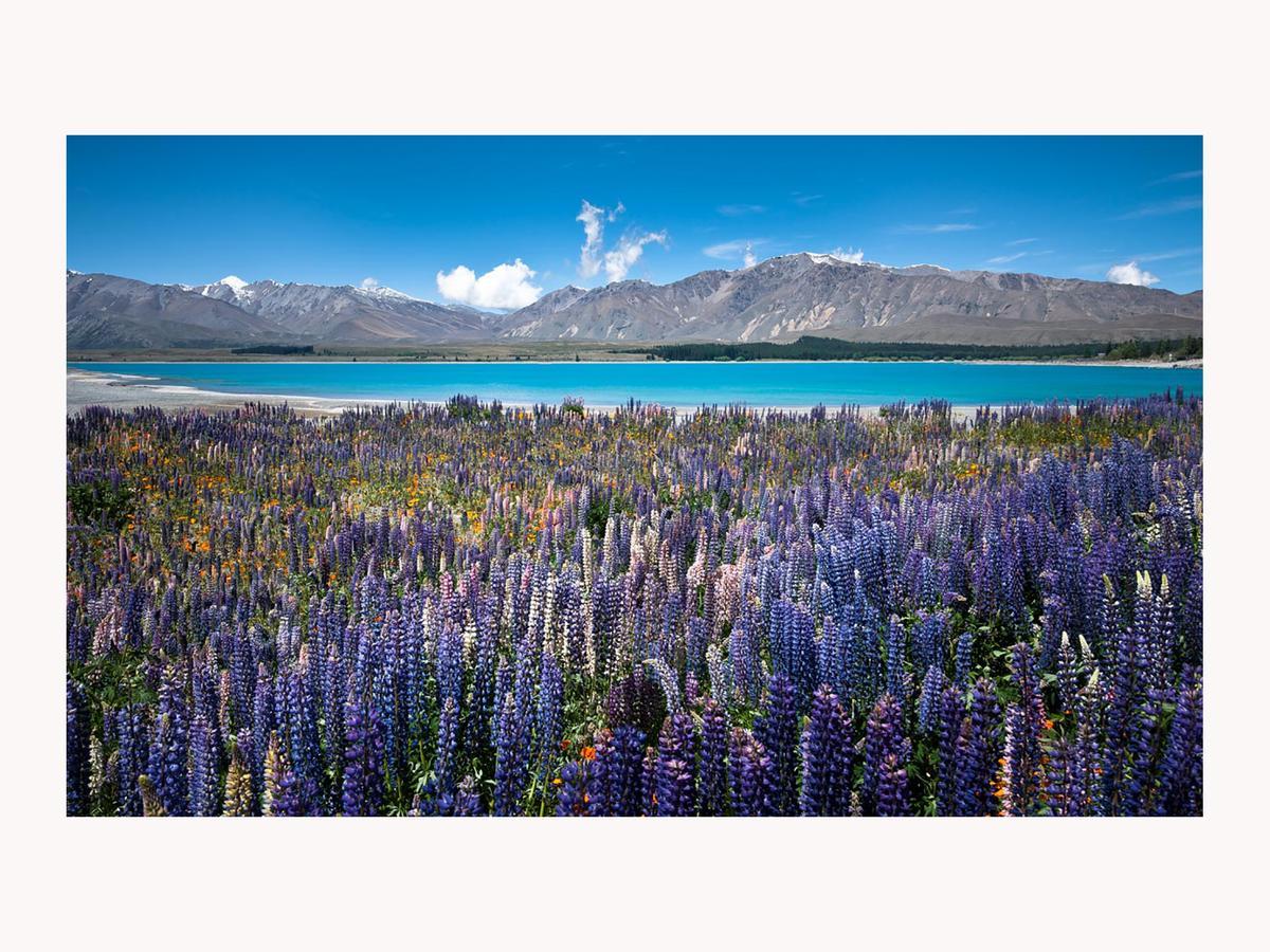 Alpine Suites On Tekapo Luxury B&B Лейк-Текапо Экстерьер фото